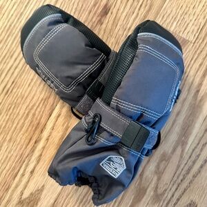 Hestra Charcoal Winter Ski Mittens